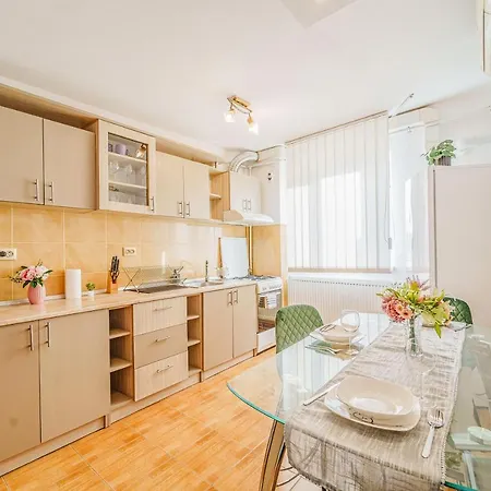 Dionysos Family - Un Refugiu Urban Apartment Timisoara